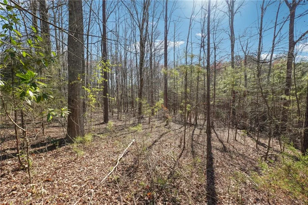 Powder Springs, Georgia 30127, United States, ,Land,Active,94829