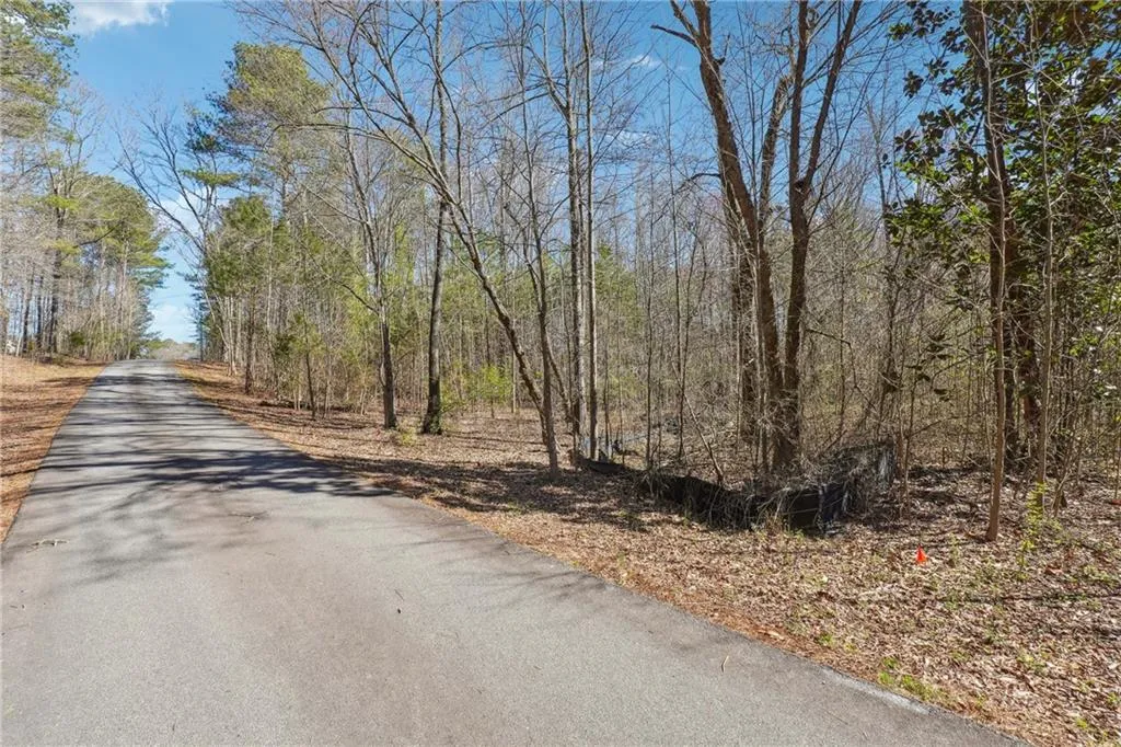 Powder Springs, Georgia 30127, United States, ,Land,Active,94829