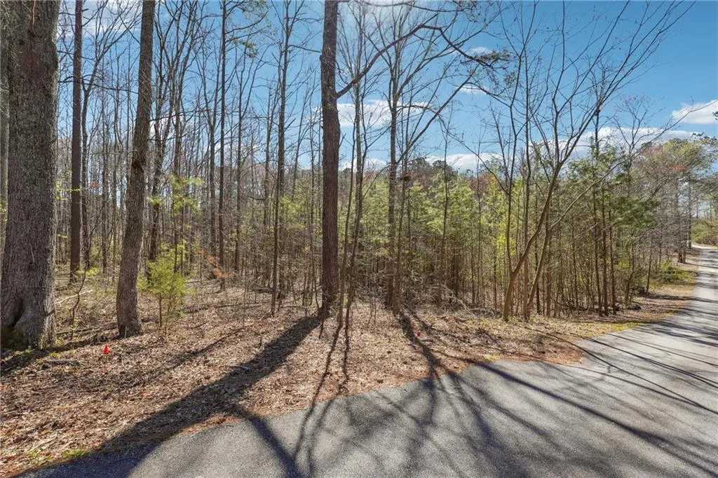 Powder Springs, Georgia 30127, United States, ,Land,Active,94829