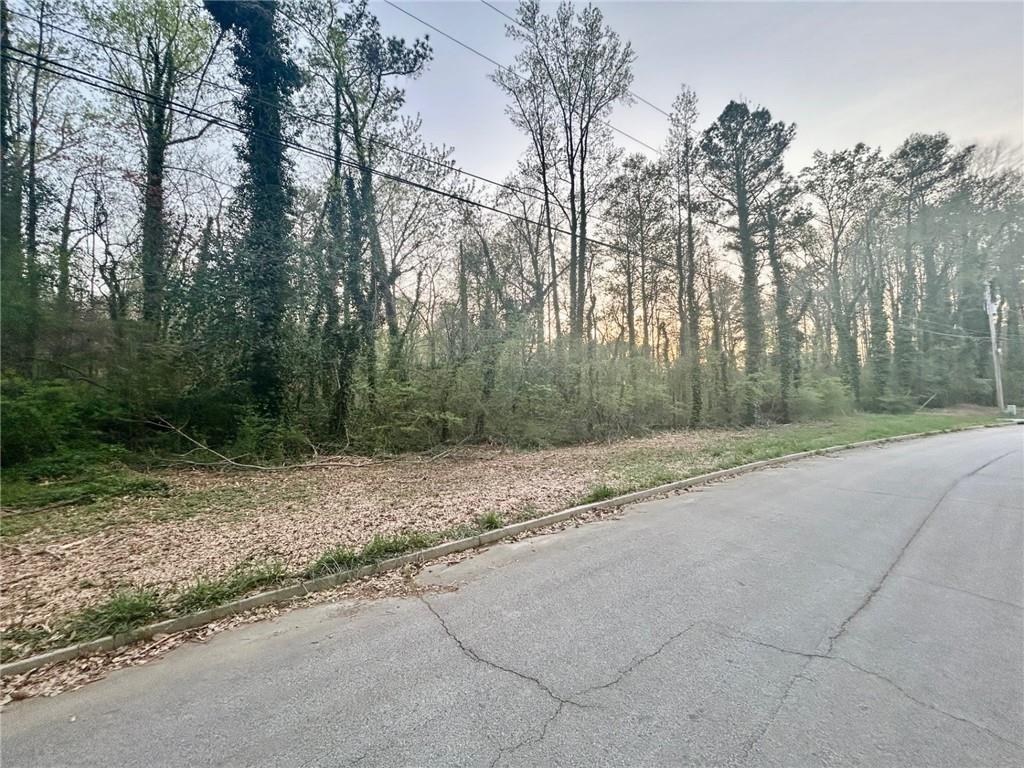 Raleigh Road, Manchester, Georgia image 6