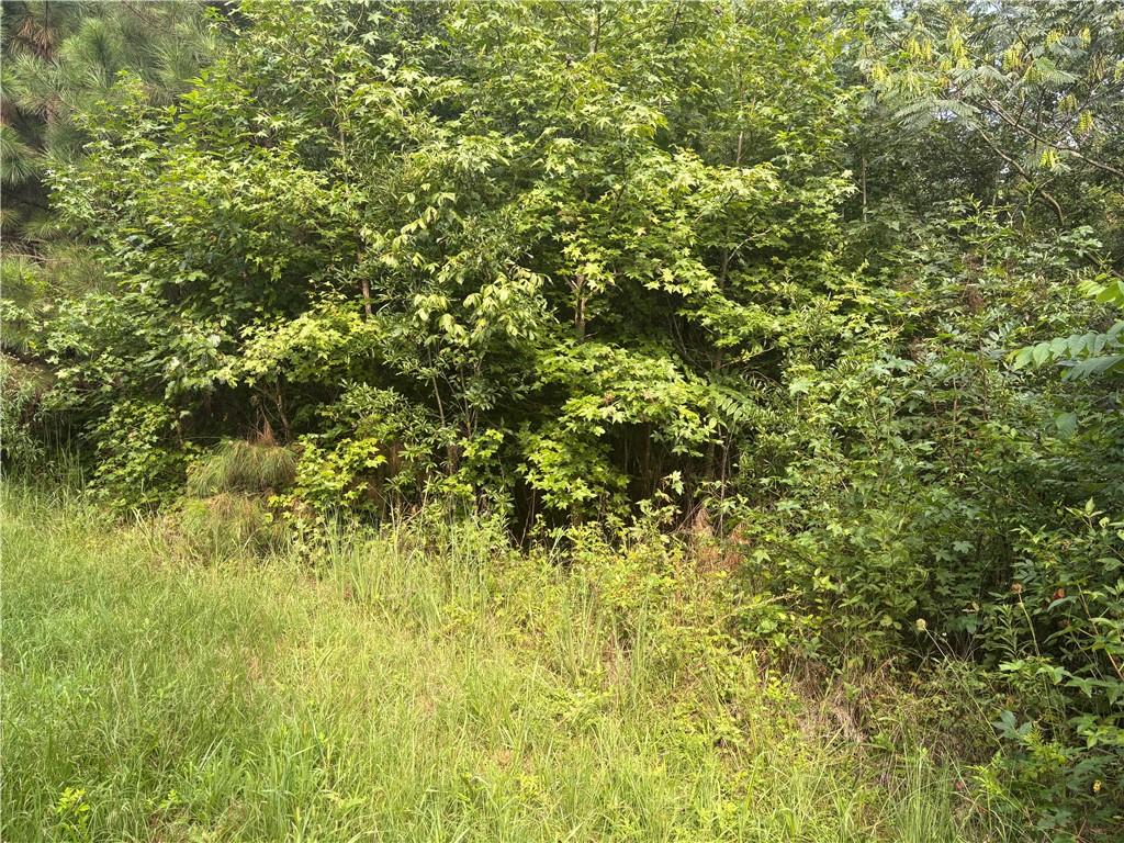 9160 Union Hill Rd