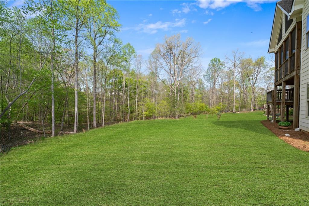 214 Dawson Manor Drive, Dawsonville, Georgia image 41