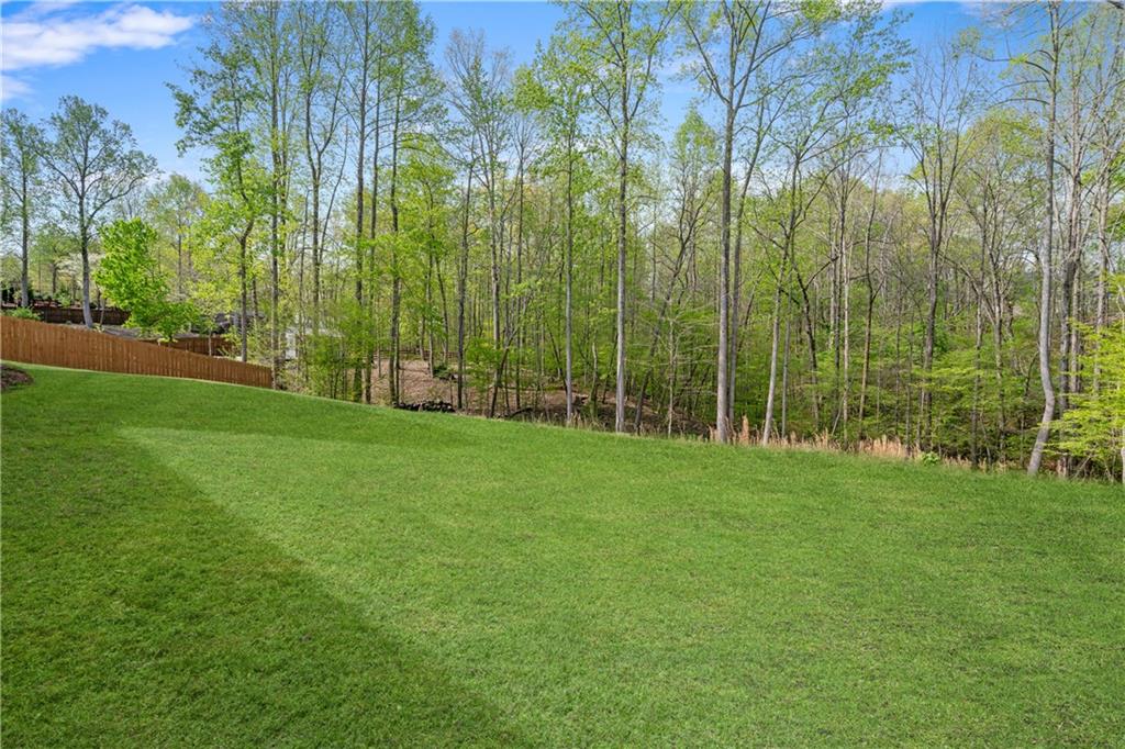 214 Dawson Manor Drive, Dawsonville, Georgia image 42