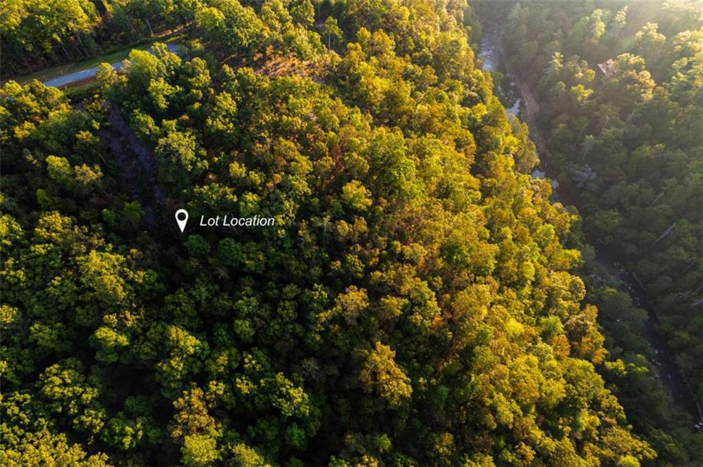 LT 290 Anglers Ridge Road