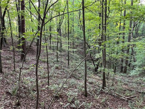 Vacant Land For Sale - 1720 Rebekah Ridge Road<br/> Talking Rock, GA 30175