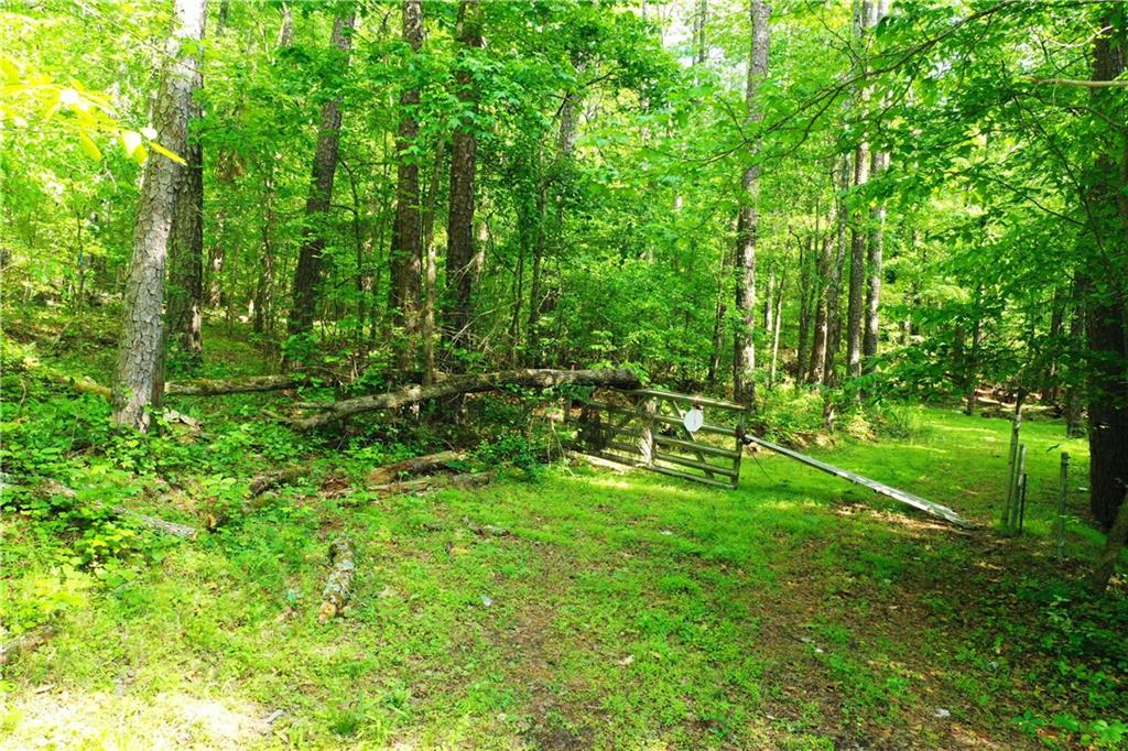 Bradley Drive, Snellville, Georgia image 22