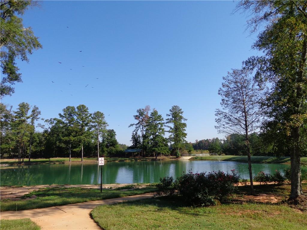 11661 Mendenhall Court, Hampton, Georgia image 28