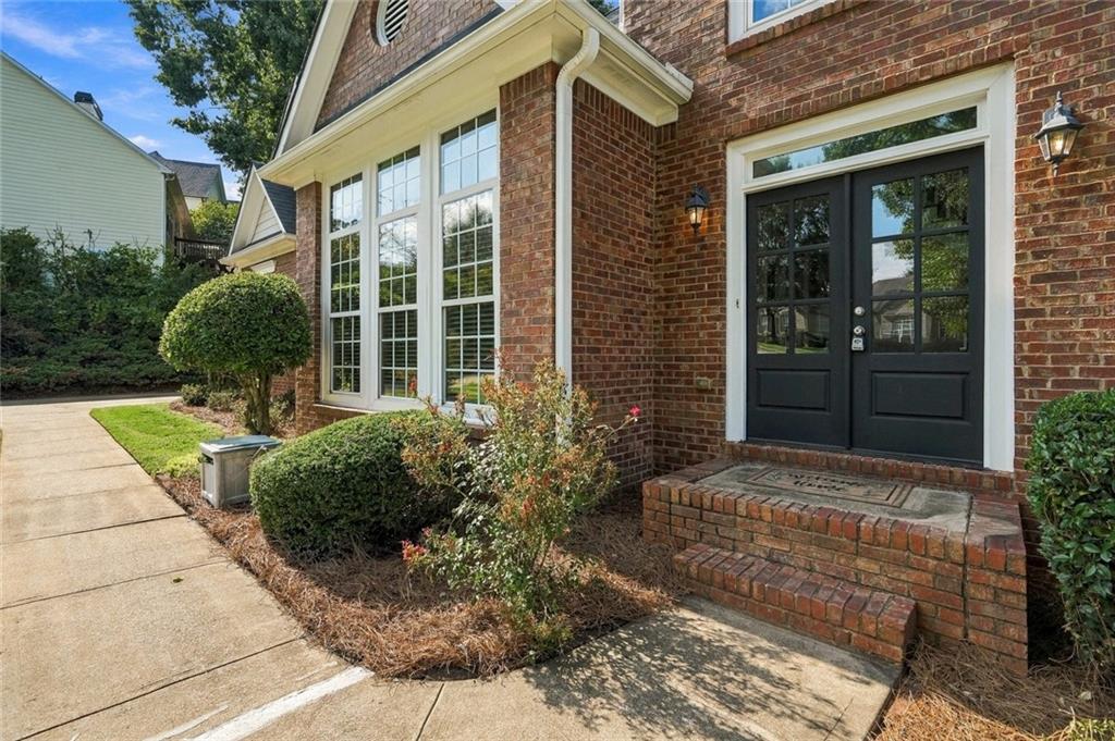 238 Ribbon Leaf View