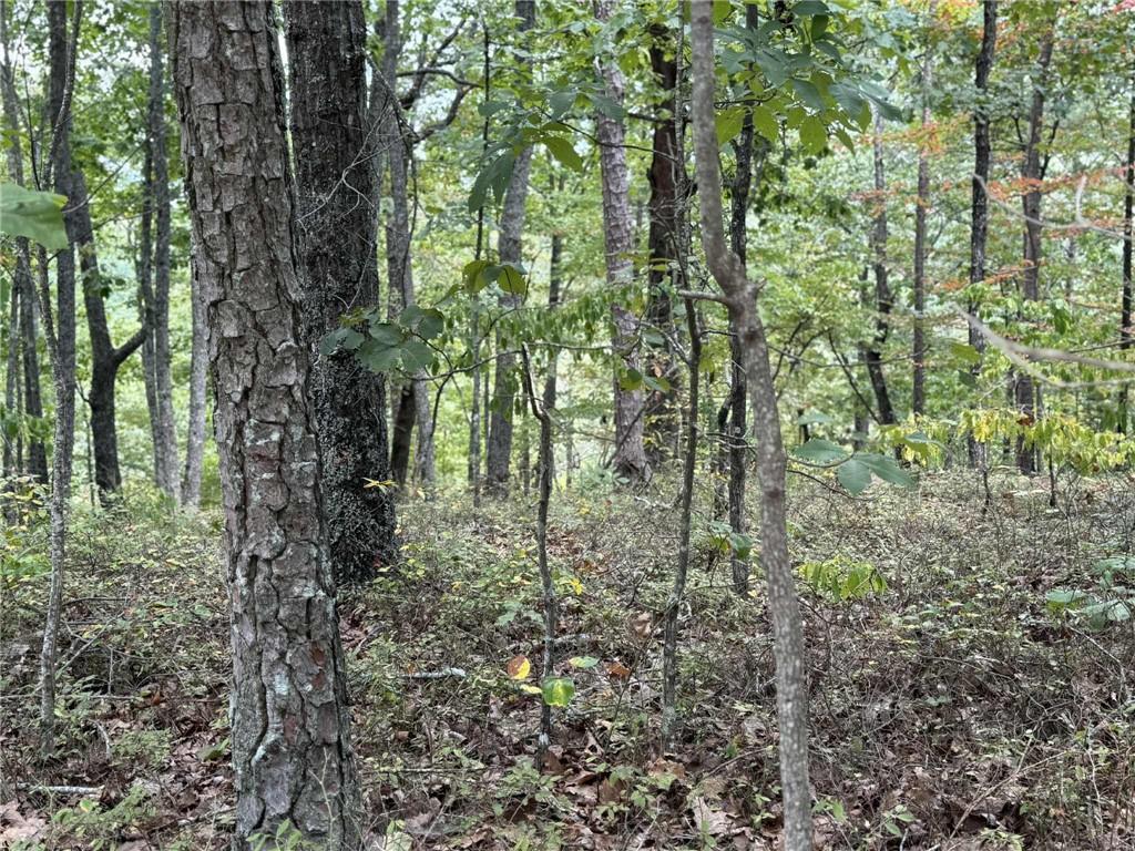 1417 Foxhound Trail NE