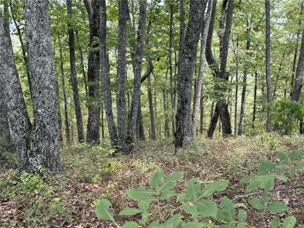 1417 Foxhound Trail NE