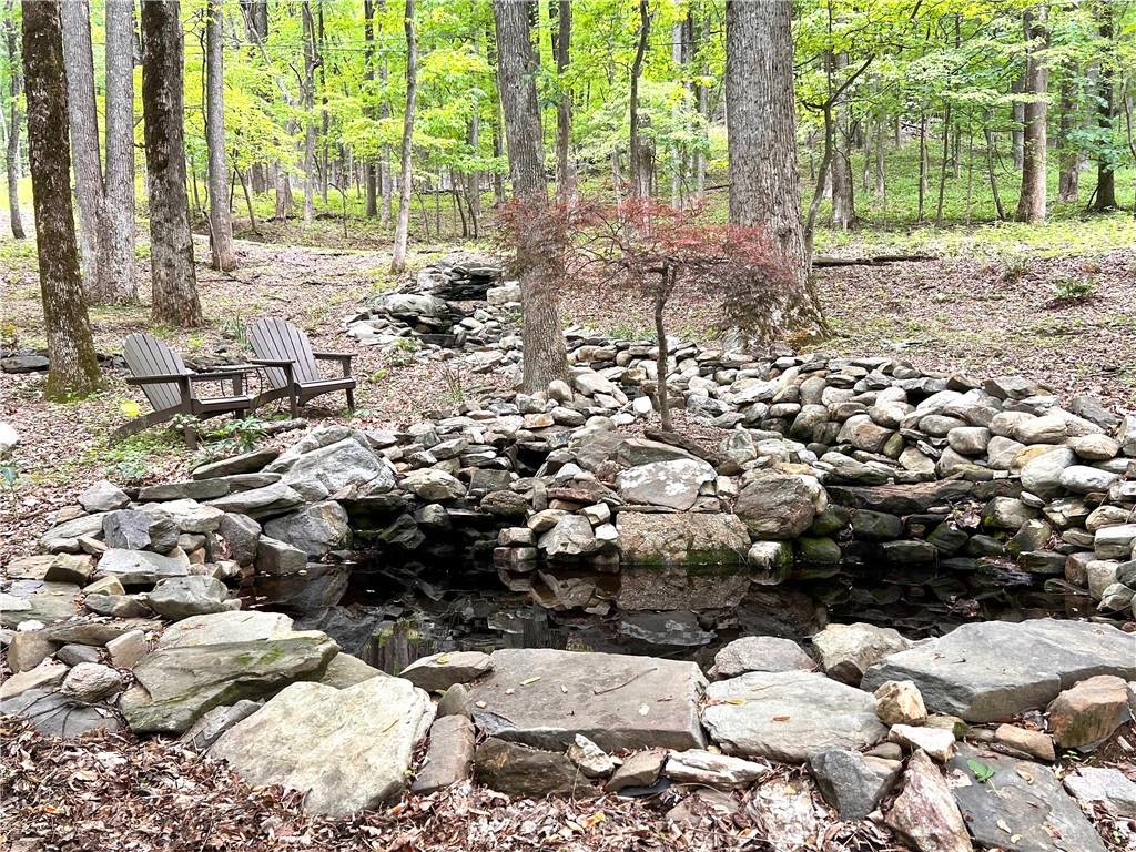 125 Bella Vista Trail, Jasper, Georgia image 6