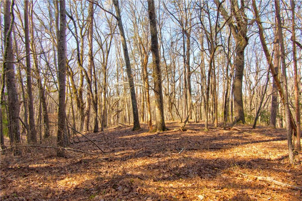 600 Chapman Ridge Lane, Dahlonega, Georgia image 9