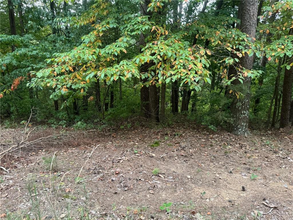 1.47 Gentle Acres on a very private road in Talking Rock Creek! You can build a slab home on this one! Close to the Apple Road Gate with
Owens Lake right near your Lot. Go fishing, or just enjoy the views of all of the wildlife that are always around! Come see what we have to offer you! Build a
getaway home, or live full time in a wonderful community! So much for you to enjoy here, including hanging out by Talking Rock Creek in the Common area of the at the creek. You are sure to love living close to shopping, wineries, apple orchards, great restaurants, Carters Lake, and so much more!