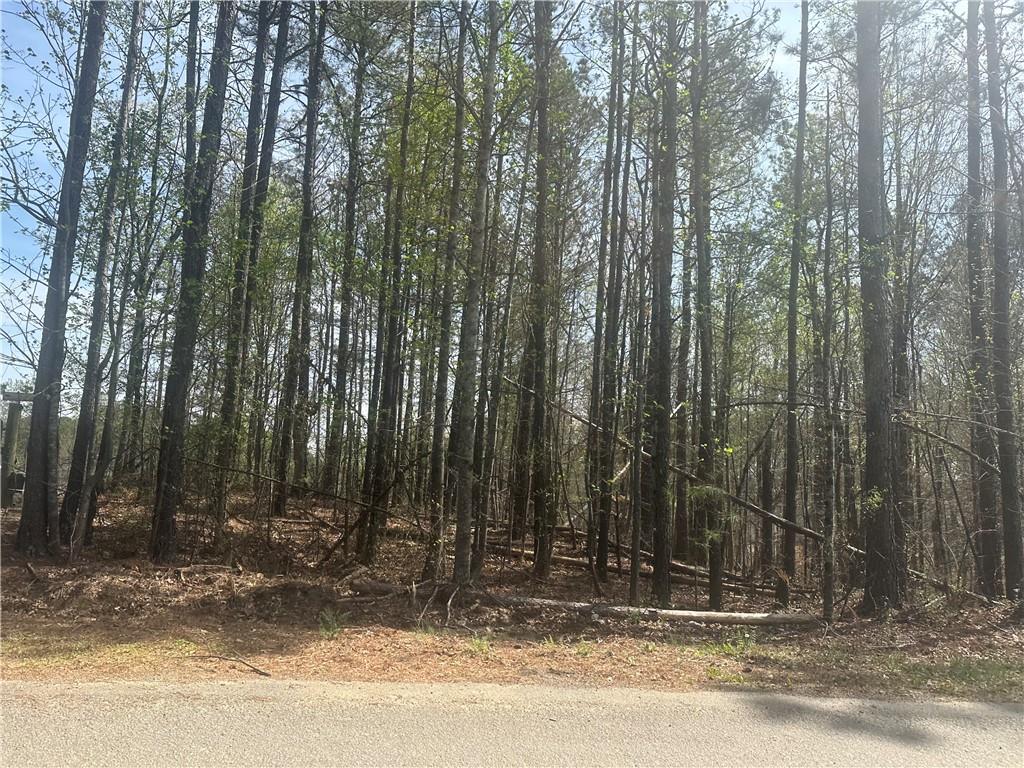 TBD Cochran Road, Dallas, Georgia image 3