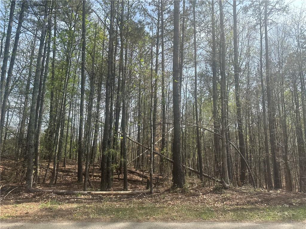 TBD Cochran Road, Dallas, Georgia image 2
