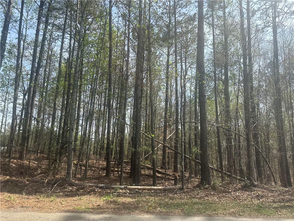 TBD Cochran Road, Dallas, Georgia image 4