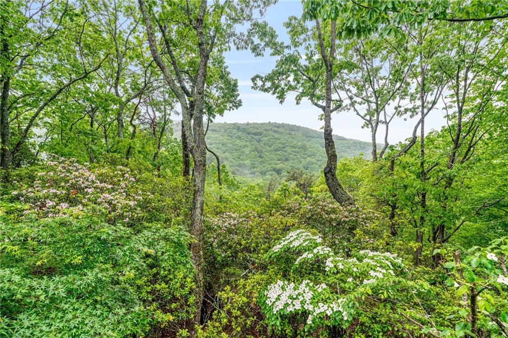 175 Bear Cub Ridge, Big Canoe, Georgia image 11