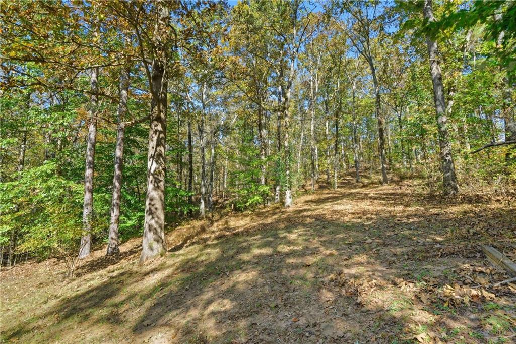 Calusa Lake - Residential