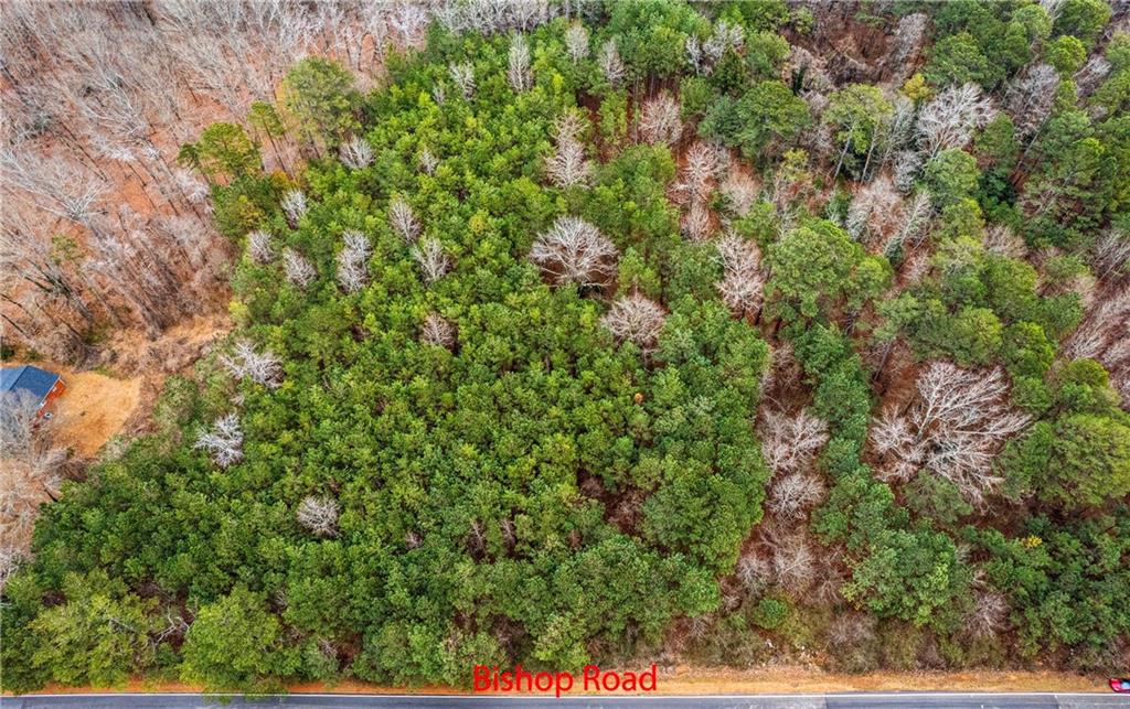 7000 Bishop Road, Fairburn, Georgia image 5