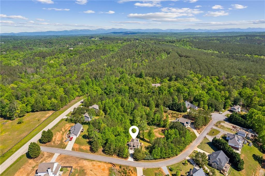 91 Trout Shoals Road, Dawsonville, Georgia image 4