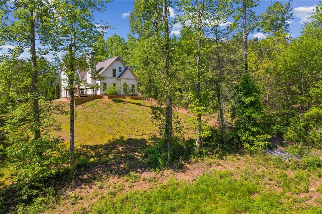 91 Trout Shoals Road, Dawsonville, Georgia image 36