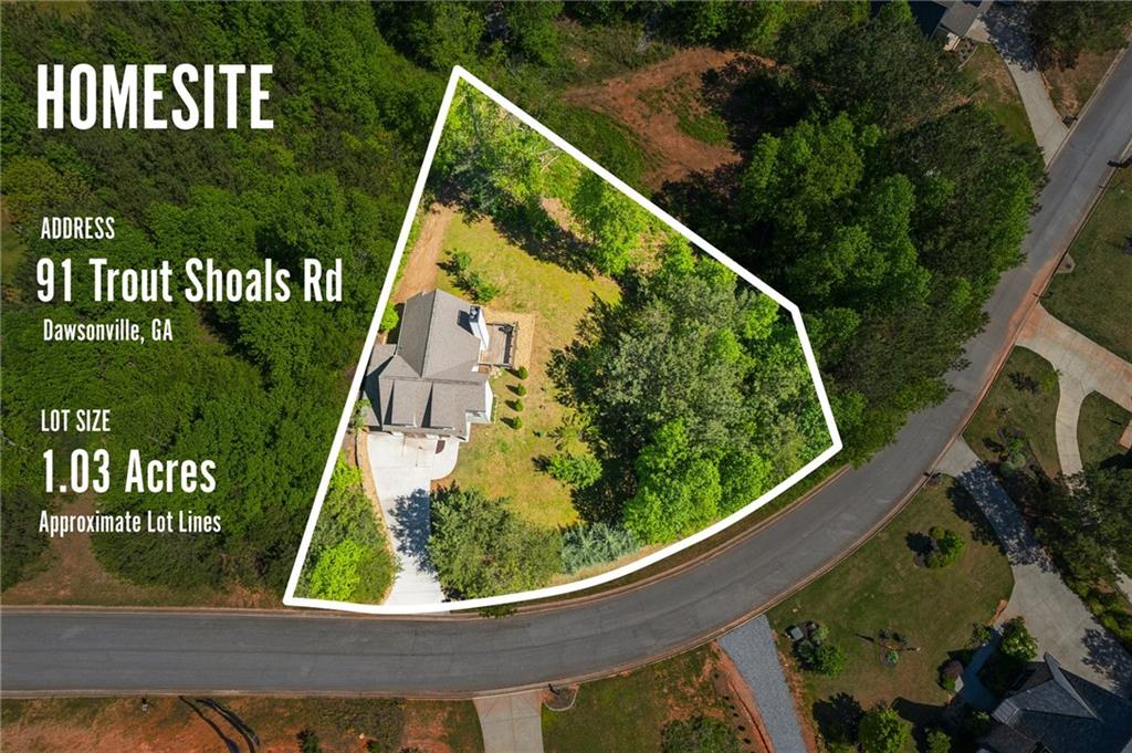91 Trout Shoals Road, Dawsonville, Georgia image 39