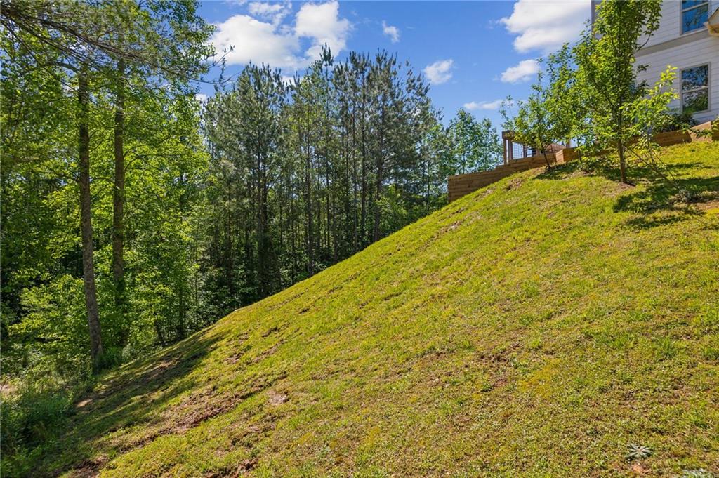 91 Trout Shoals Road, Dawsonville, Georgia image 35