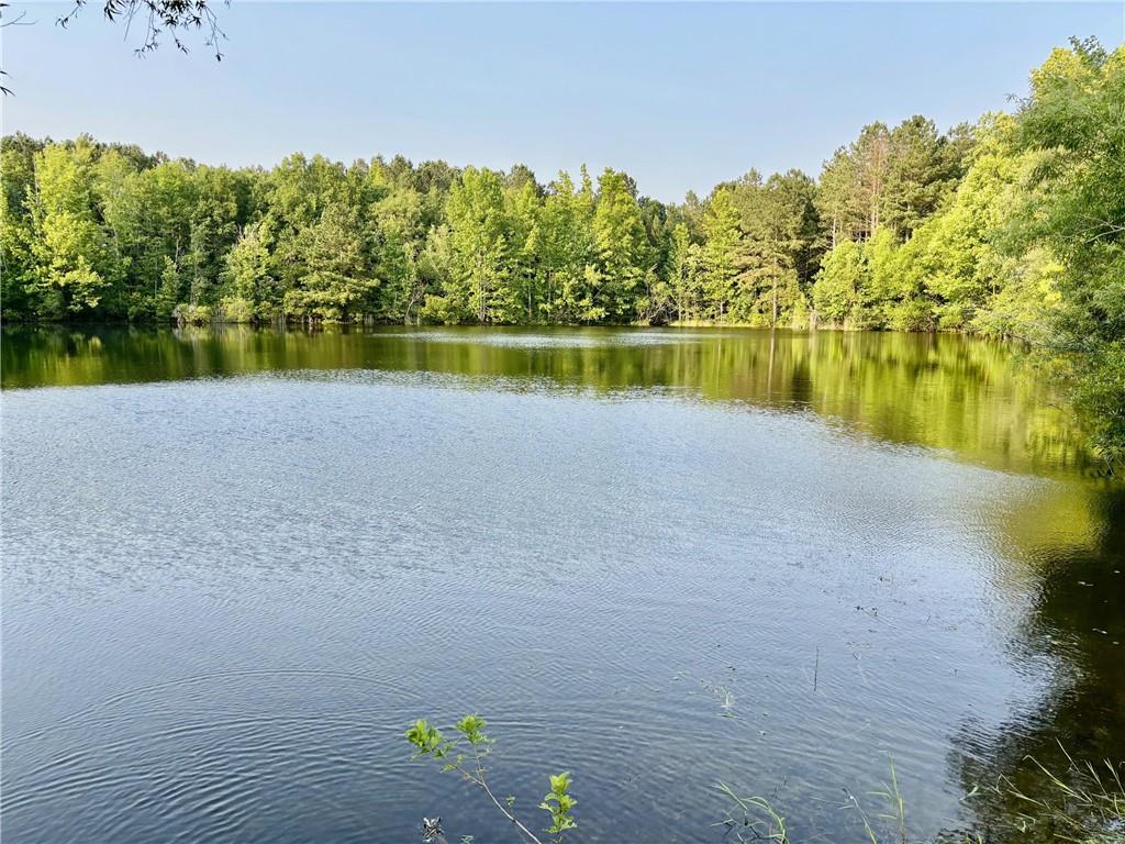 Starr Hinson Road, Thomson, Georgia image 1