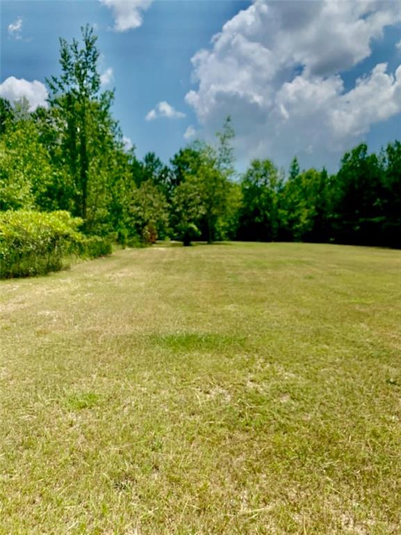 Starr Hinson Road, Thomson, Georgia image 2