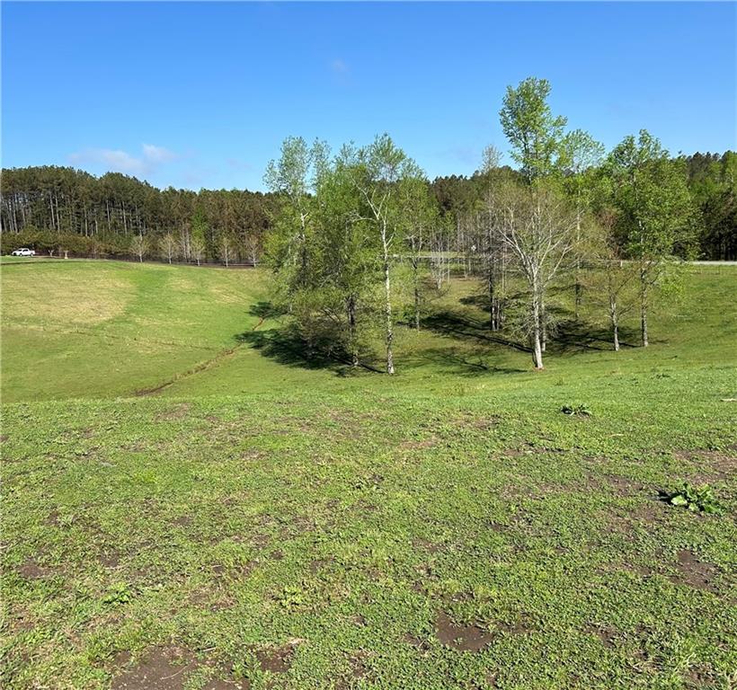 2-Acre Garland Mountain Trl, Waleska, Georgia image 3