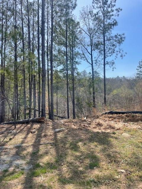 23 Bridgestone Way, Cartersville, Georgia image 1
