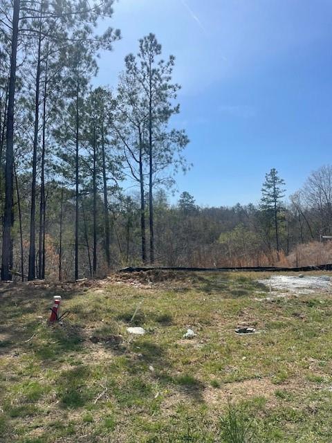 23 Bridgestone Way, Cartersville, Georgia image 2