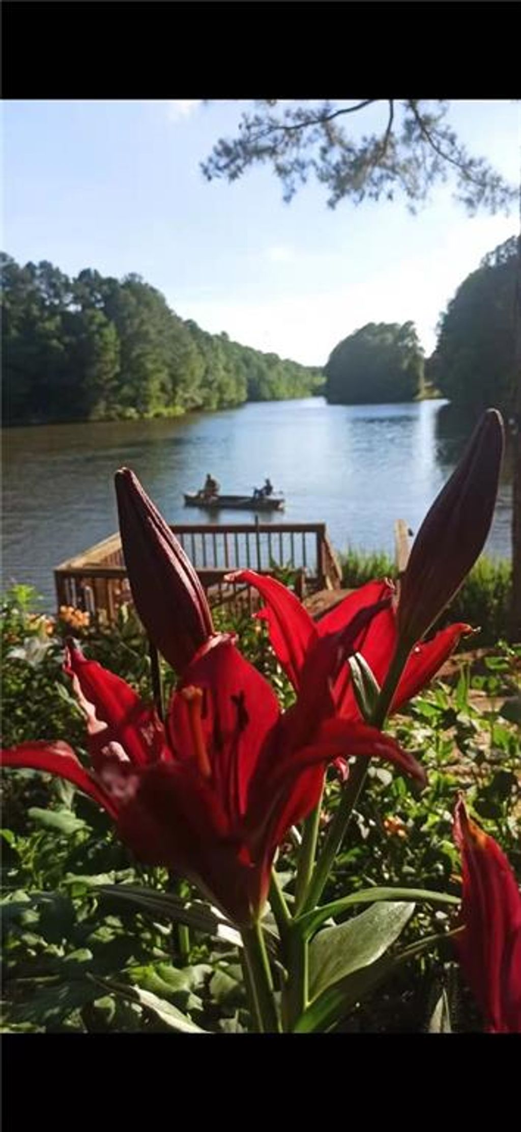 listing image 87