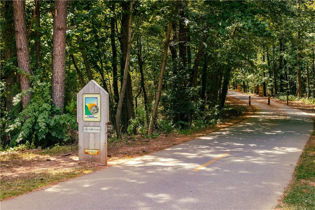 1556 Wicker Wood Place, Smyrna, Georgia image 9