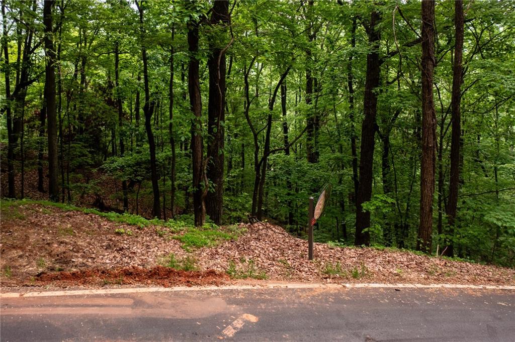 7087 Valley View Drive, Jasper, Georgia image 6