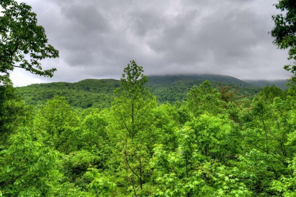 1582 Little Rock Creek Road