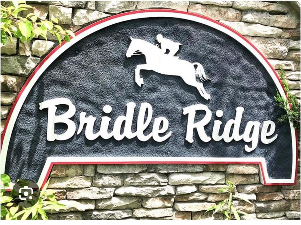 144 Bridle Ridge Lane, Canton, Georgia image 1