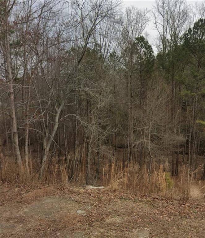 144 Bridle Ridge Lane, Canton, Georgia image 2