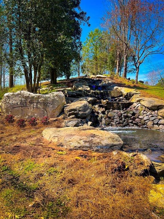 90 Cold Springs Road, Ellijay, Georgia image 18