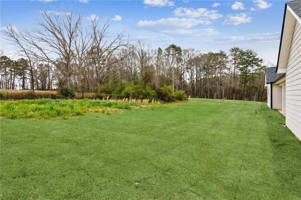 69 Advent Drive, Winder, Georgia image 25