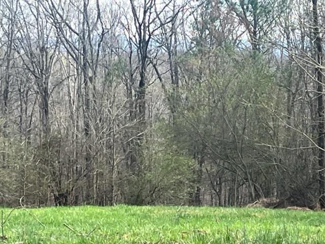 00 Mark Foster Rd., Talking Rock, Georgia image 6