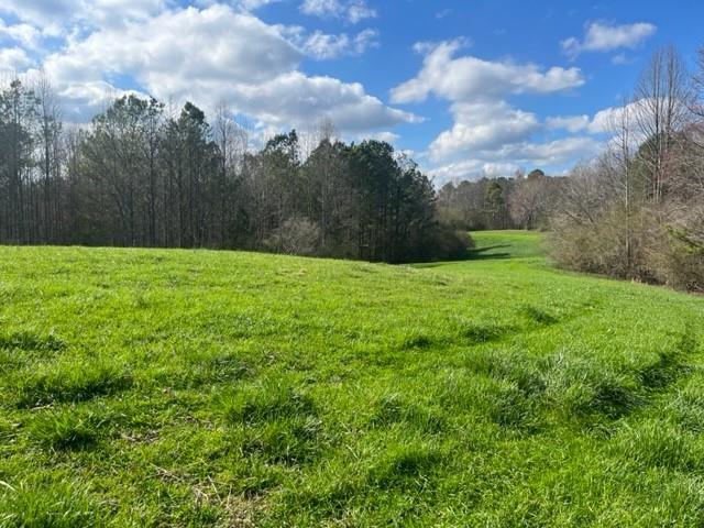 00 Mark Foster Rd., Talking Rock, Georgia image 3