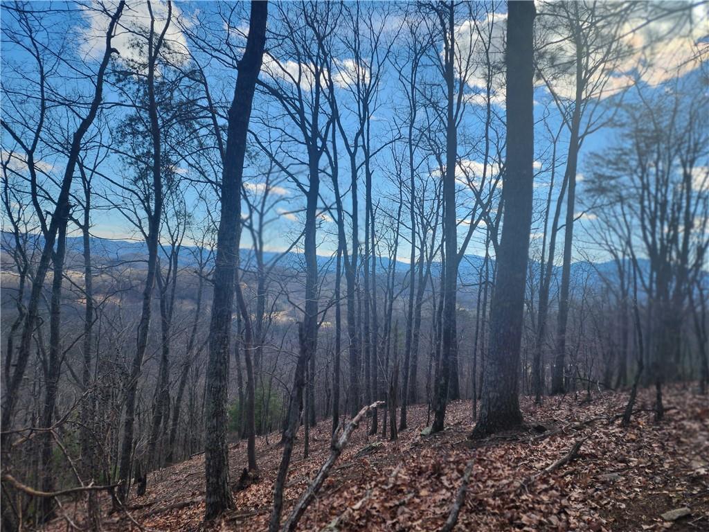 000 Trackrock Gap Road