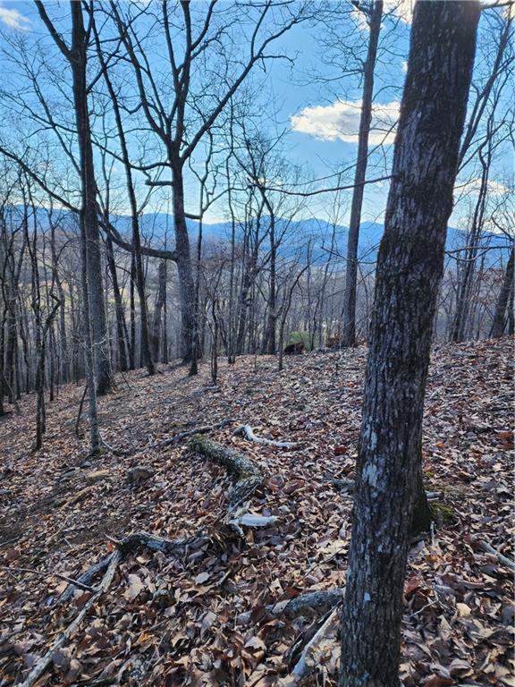 000 Trackrock Gap Road