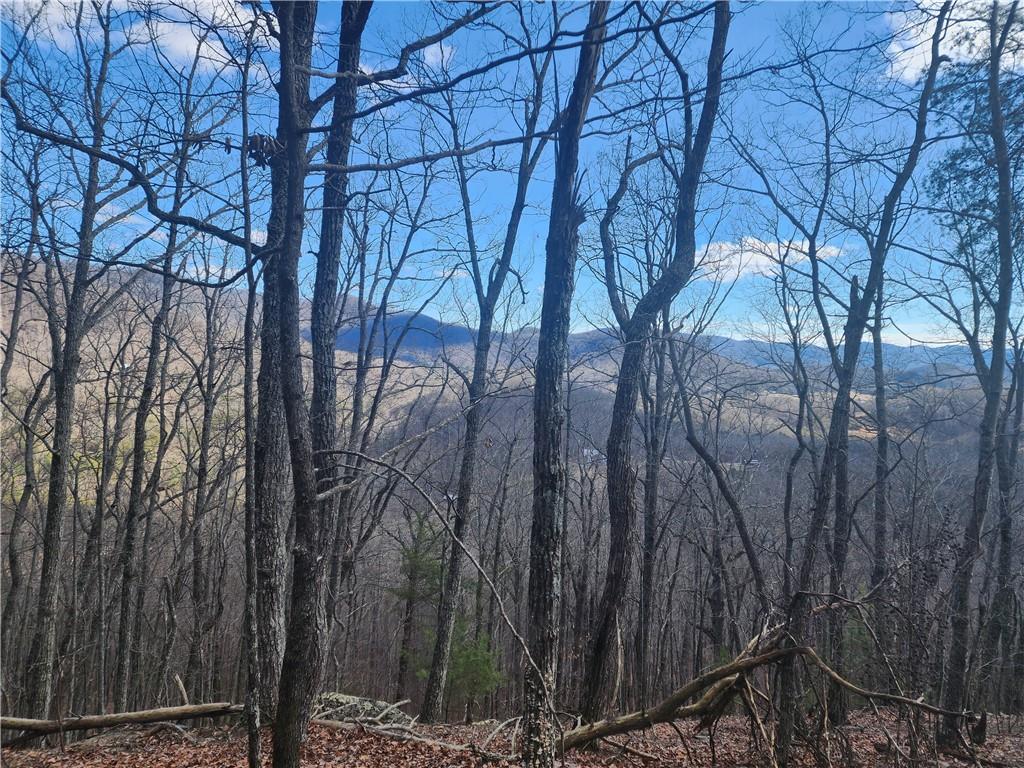 000 Trackrock Gap Road