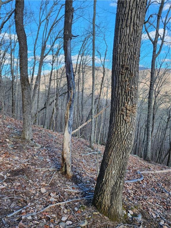 000 Trackrock Gap Road