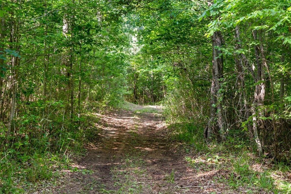 3143 Demooney Road, College Park, Georgia image 21