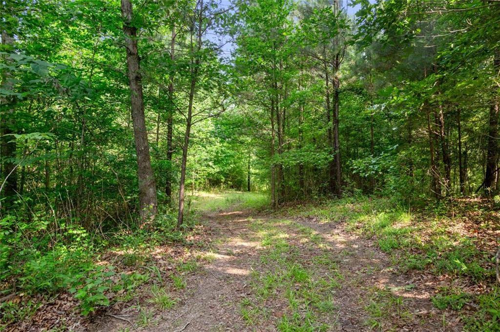 3143 Demooney Road, College Park, Georgia image 20