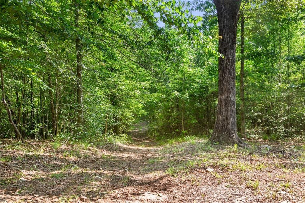 3143 Demooney Road, College Park, Georgia image 14