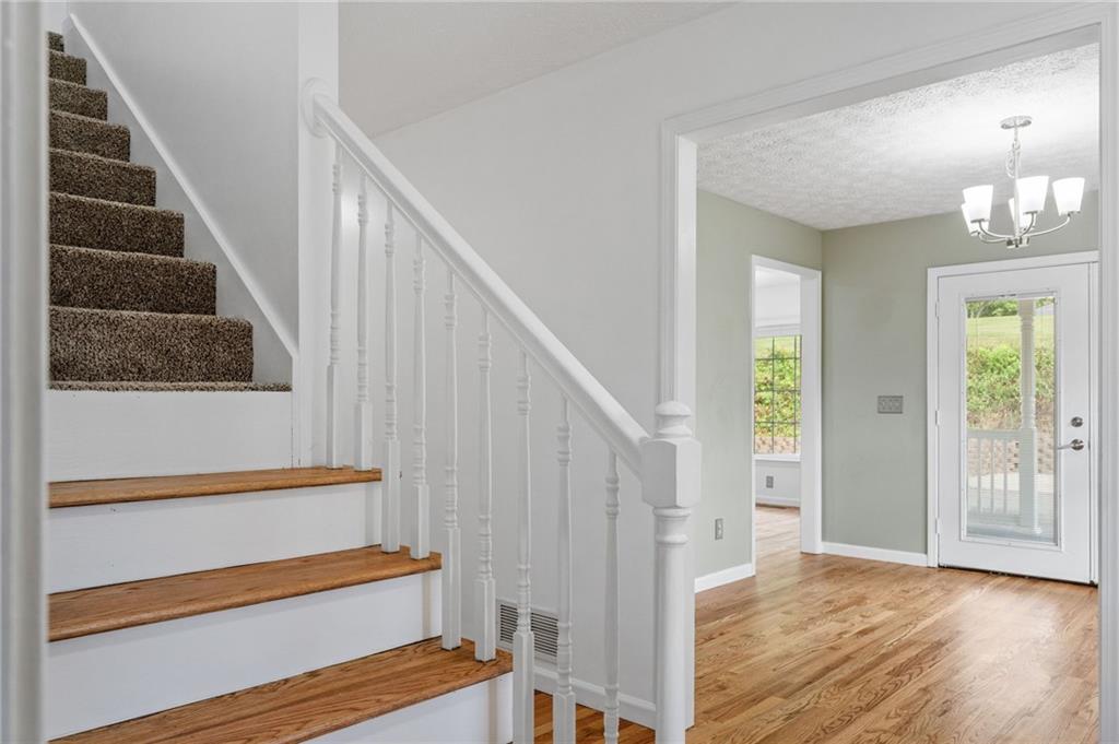 206 Piney Woods Drive